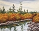 AUTUMN STREAM