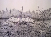 Barrens of Avalon