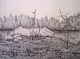Barrens of Avalon