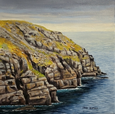 Coastline Near Cape Race