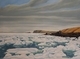 Crocker's Cove - Spring Ice