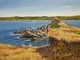Down In The Bight - Renews