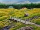 East Coast Trail - Blackhead near Cape Spear