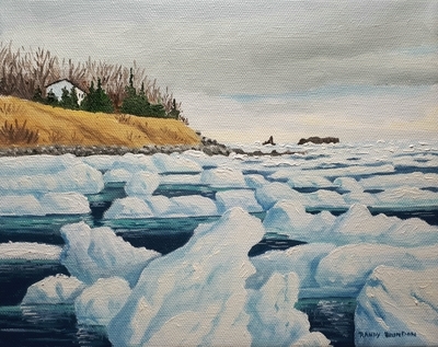 Ice at Crocker's Cove