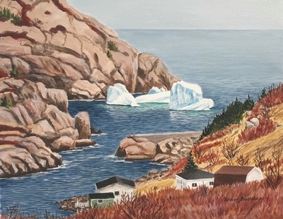 Iceberg Outside Quidi Vidi