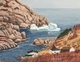 Iceberg Outside Quidi Vidi