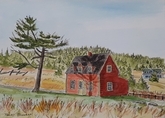 In The  Cribbies - Tors Cove
