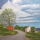 June In Freshwater - Conception Bay