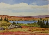 October on Witless Bay Line