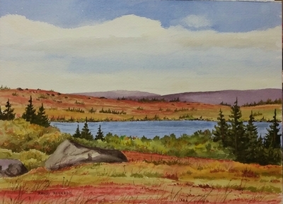 October on Witless Bay Line