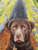 Pet portrait