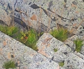 Rockface On Gibbet Hill Trail
