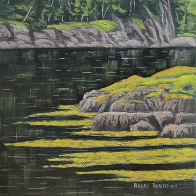 Shoreline at Little Harbour East