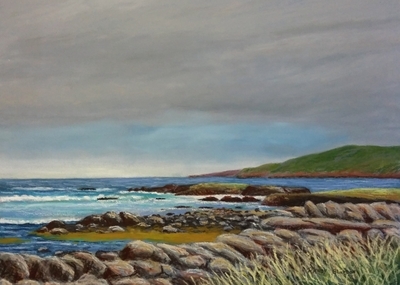 Shoreline Near Hant's Harbour