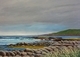 Shoreline Near Hant's Harbour