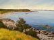 Shoreline Near Islington, Trinity Bay
