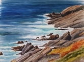 Shoreline Near Tors Cove