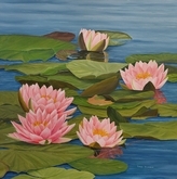 Water Lilies